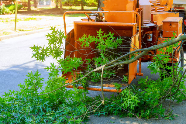 Best Utility Line Clearance  in Monroe Manor, NJ